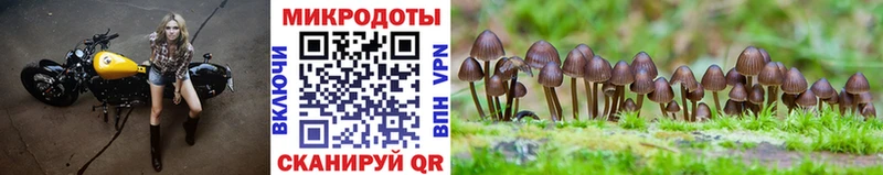 Псилоцибиновые грибы ЛСД  даркнет сайт  Новоузенск 