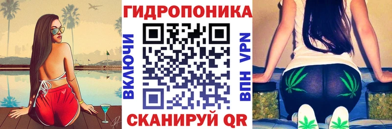 Бошки марихуана OG Kush  Новоузенск 